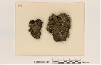 藏品(袋梅衣)的圖片